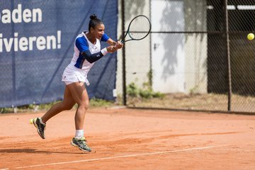 Bild 196 - BL DTV Hannover - BW Dresden Blasewitz : Ergebnis: 2:7